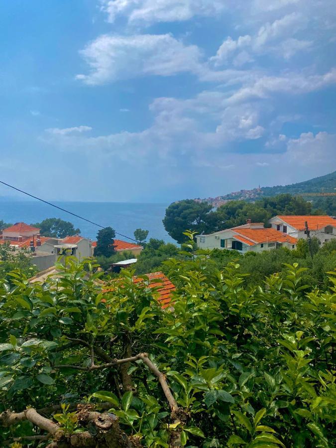 Apartments And Rooms Katarina Živogošće Εξωτερικό φωτογραφία
